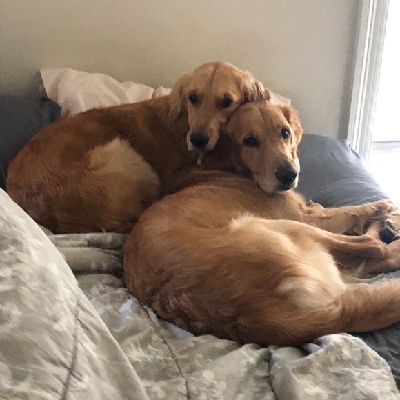 Smoke free/Pet friendly💛 - Picture 9 of 16